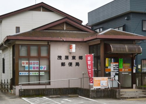 の画像