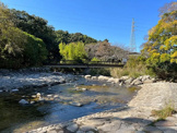 中ノ島公園