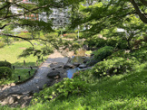 文京区立関口台公園
