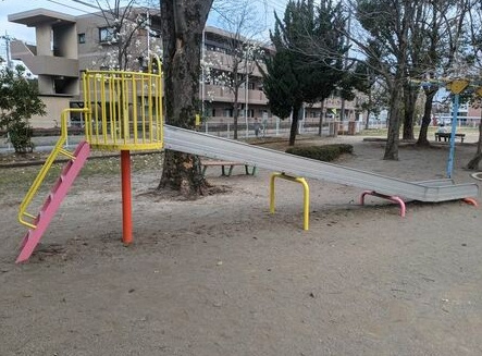 の画像