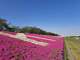 新荒川大橋緑地の画像