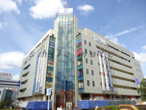 成城石井