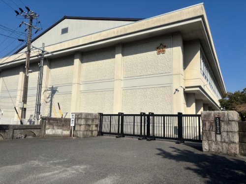 の画像