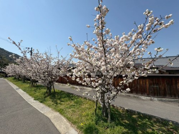 京都嵐山温泉　風風の湯の画像2