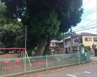の画像