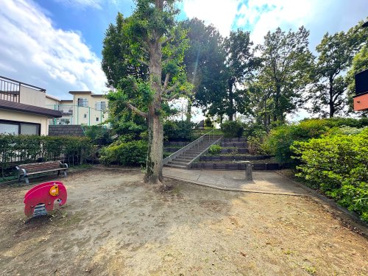 橋戸南第三公園の画像1