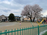 藤原町第二公園