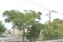 山川東部保育園