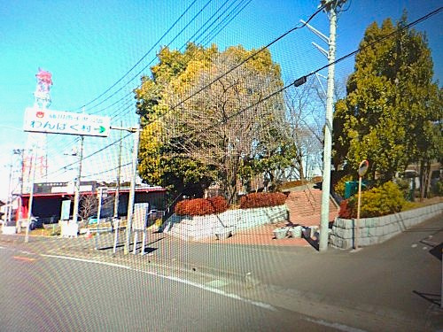 桶川わんぱく村公園の画像