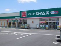 ドラッグセイムス 高崎群馬町店