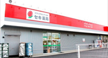 ドラッグストア セキ 小川町店