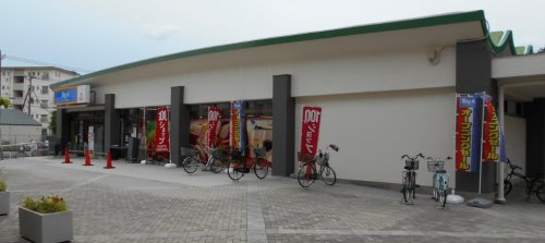 の画像