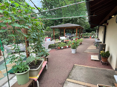 こもれびの足湯の画像