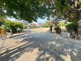 公園 若松公園
