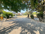 若松公園