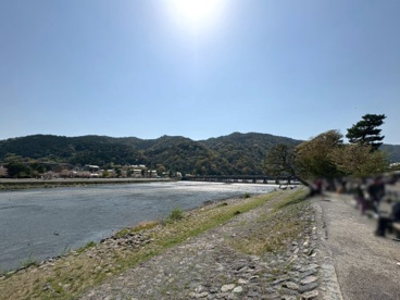 渡月橋の画像1