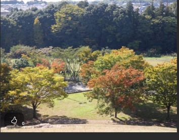 龍ヶ岡公園の画像1