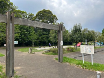 手賀の杜中央公園の画像1