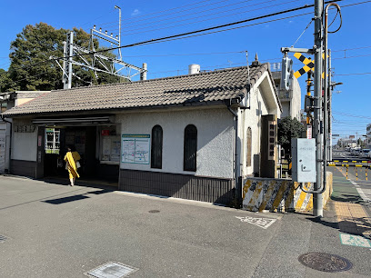 の画像