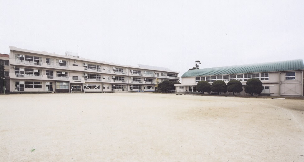 の画像