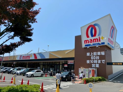 の画像