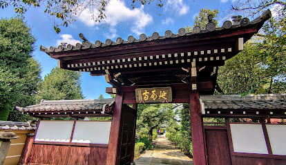 の画像