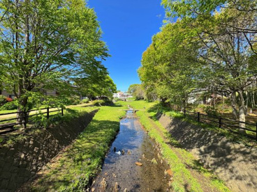 水辺公園（和泉川）の画像1