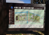 木場公園