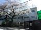 豊島区立さくら小学校の画像