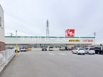 スギ薬局 乙川店