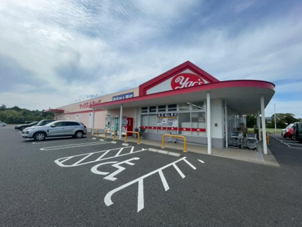 ヤックスドラッグ 白子店