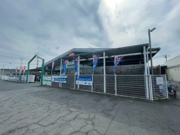 コメリハード&グリーン白子店の画像1