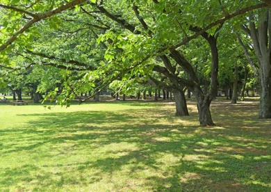 小金井公園の画像1