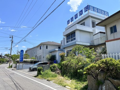 の画像