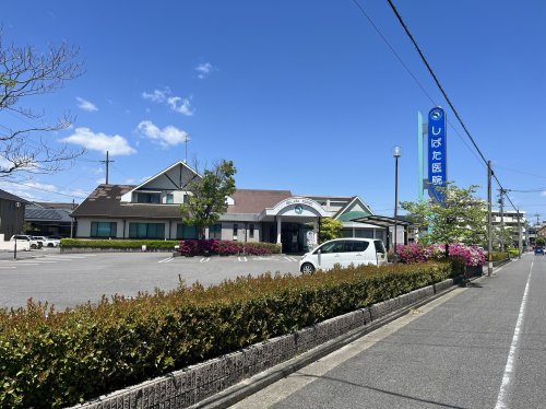 の画像