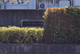 高崎市立城山小学校の画像