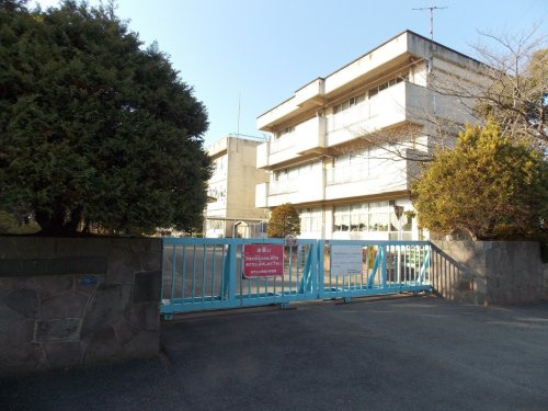 の画像