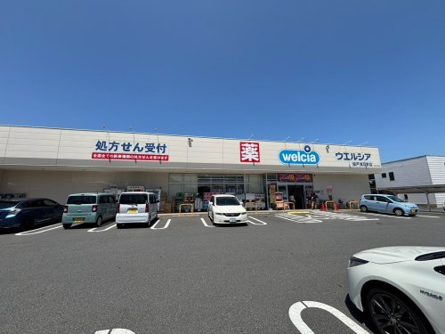 ウエルシア坂戸浅羽野店の画像