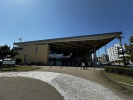 新江ノ島水族館の画像