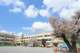 杉並区立浜田山小学校の画像