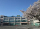 杉並区立久我山小学校の画像