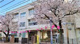 中野区立南台小学校の画像