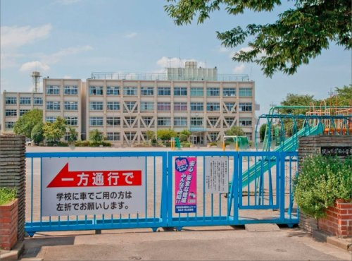 の画像