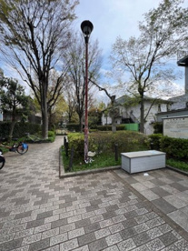 中央緑地公園の画像1