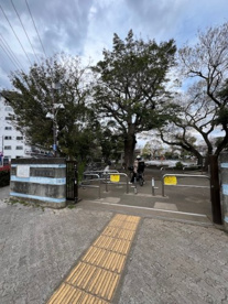 清水池公園の画像1
