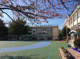 豊島区立要小学校の画像