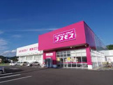 コスモス