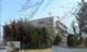 新栄中学校の画像