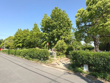 めじろ公園の画像1