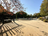 公園 亀田公園